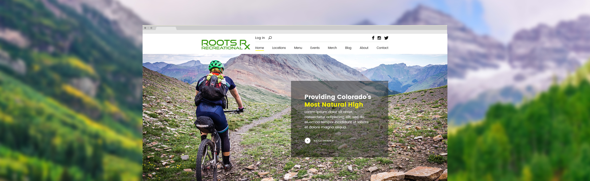 Hi. We connect brands and customers into a seamless experience Roots Rx