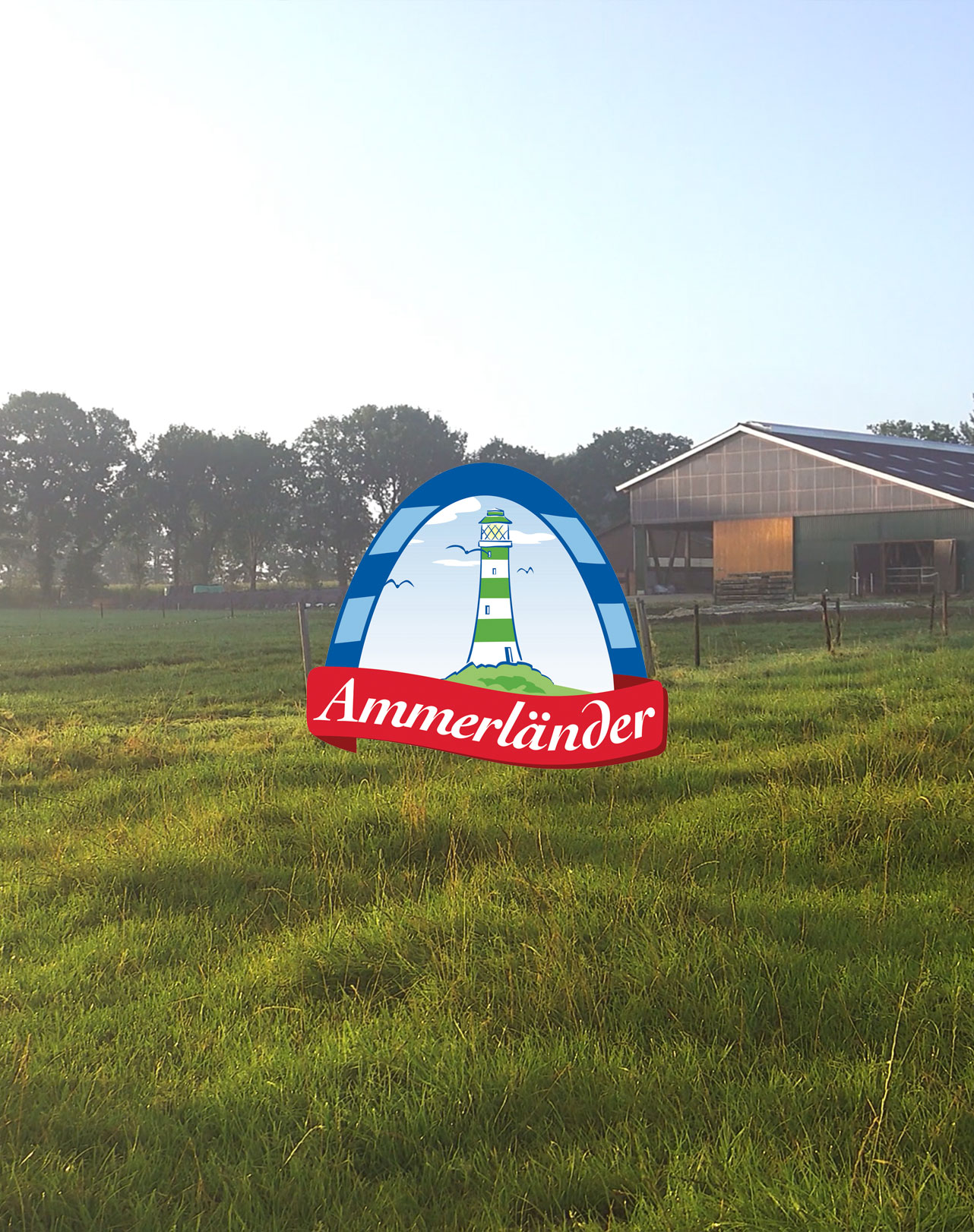 Ammerlander brand mark over a dairy pasture