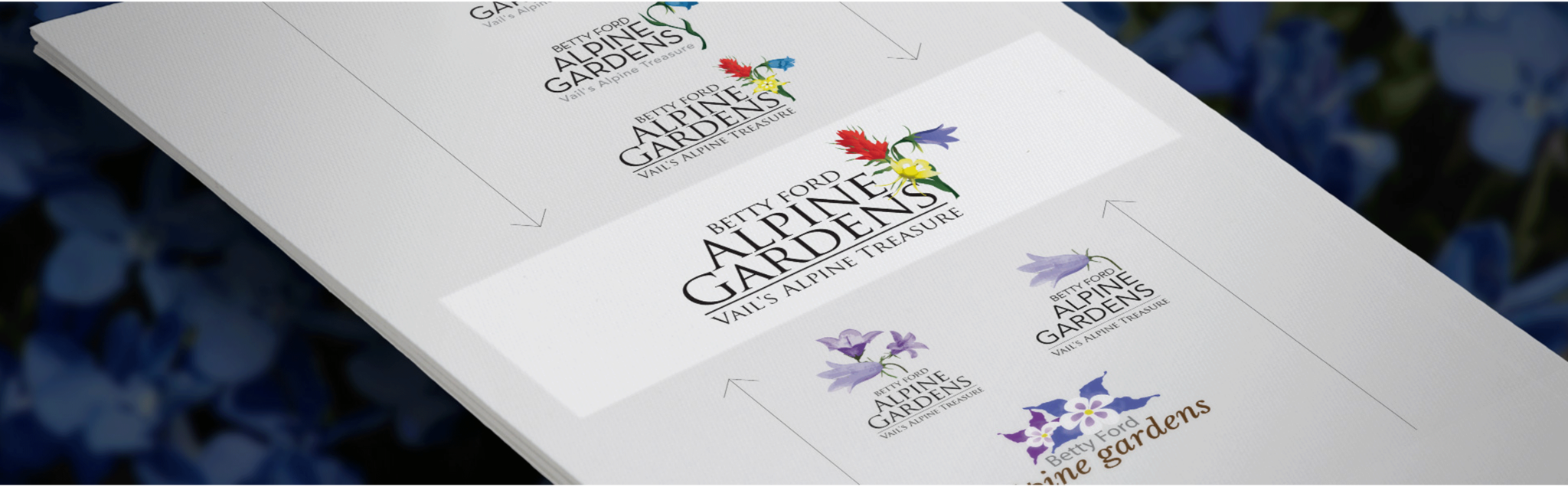 Brand guidelines pages showing the primary logo and approved variations at different scales
