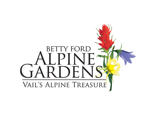 Betty Ford Alpine Gardens logo: stacked serif wordmark with painted alpine wildflowers and the line Vail's Alpine Treasure